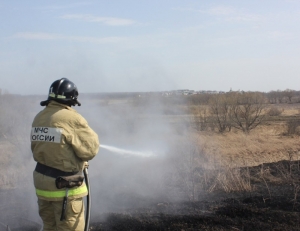 Крупный ландшафтный пожар ликвидирован в Красноярске