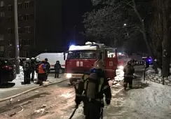 27 человек спасены, 113 эвакуированы огнеборцами на пожаре в Воронеже 