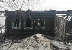 Следователи выясняют причины трагического пожара в поселке Юркино в Марий Эл