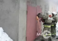 На пожаре под Благовещенском пожарные отстояли от огня дом