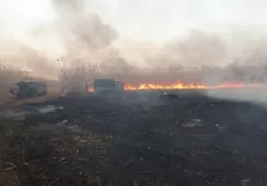 Огнеборцы тушат пожар в Астраханском заповеднике 