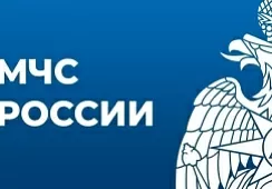 На пожаре в жилом доме в Новосибирске сотрудники МЧС спасли 12 человек